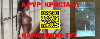 стаф Донской