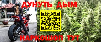 хмурый Дубна