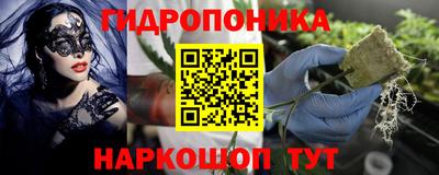 хмурый Дубна