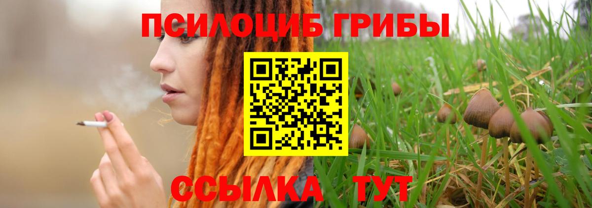 Галлюциногенные грибы мицелий  Вход с VPN  Мариинск 